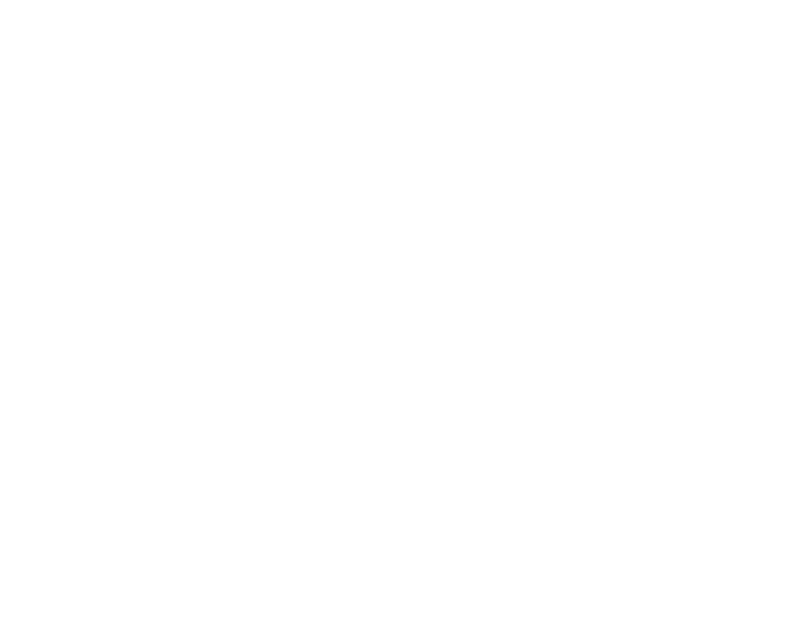 Vectris